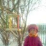 Поможем пичужкам Поможем пичужкам