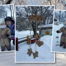 Валентинка для птиц Валентинка для птиц