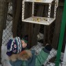 "Кормушка для пичужки" "Кормушка для пичужки"