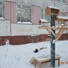 Птичья столовая Птичья столовая