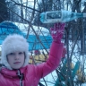 К пернатым с помощью К пернатым с помощью
