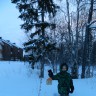 "Домик для пичужки" "Домик для пичужки"
