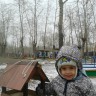 Великолепная кормушка для пичужки Великолепная кормушка для пичужки