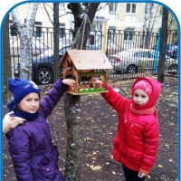 Птичья столовая Птичья столовая