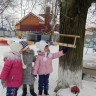 Поможем птичкам зимой Поможем птичкам зимой