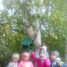 Кормушка для птиц Кормушка для птиц