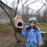 Веселая кормушка Веселая кормушка