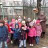 "Кормушка для пичужки" "Кормушка для пичужки"