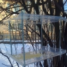 кормушка для пернатых кормушка для пернатых