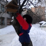 Кормушка для пичужки Кормушка для пичужки