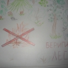 Берегите лес! Берегите лес!