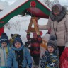 кормушка для птиц кормушка для птиц