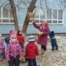 подкормим птиц зимой подкормим птиц зимой