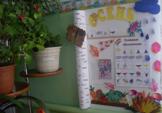 А вот и наш календарь природы! Фото А вот и наш календарь природы!