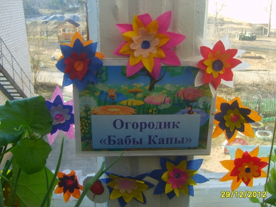 Огородик «Бабы Капы» Фото Огородик «Бабы Капы»