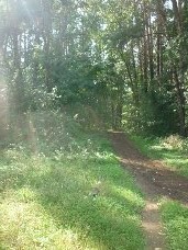 Серебряные родники моей Родины Фото Серебряные родники моей Родины