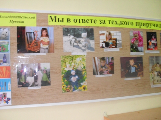 Проект «Мы в ответе за тех, кого приручили». Способствовать развитию умения различать понятия «Хорошо» и «Плохо» Фото Проект «Мы в ответе за тех, кого приручили». Способствовать развитию умения различать понятия «Хорошо» и «Плохо»
