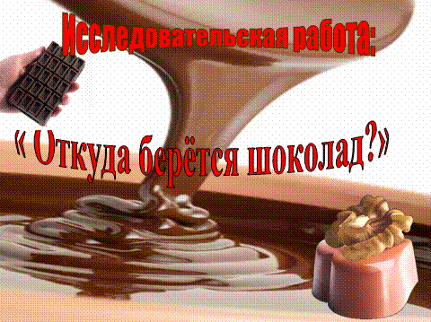 Исследовательская работа «Откуда берётся шоколад?» Фото Исследовательская работа «Откуда берётся шоколад?»