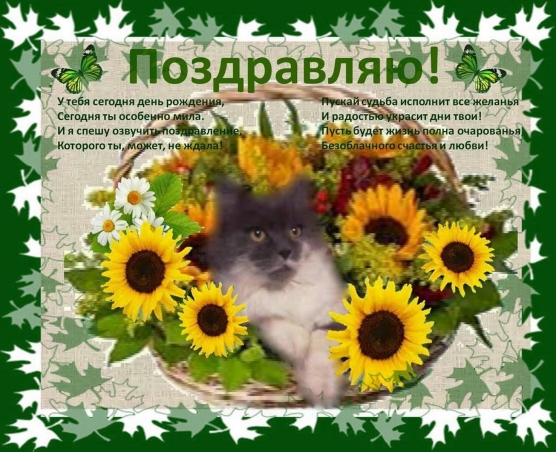 Мои открытки. Фото Мои открытки.