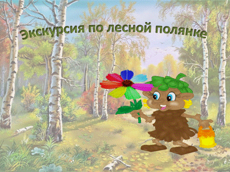 «Экскурсия по лесной полянке». Фото «Экскурсия по лесной полянке».