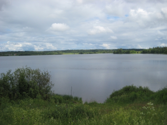 Новгородские просторы Фото Новгородские просторы