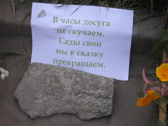 Выставка цветов в Катайске Фото Выставка цветов в Катайске