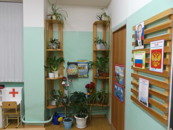 Уголок природы-своими руками! Фото Уголок природы-своими руками!