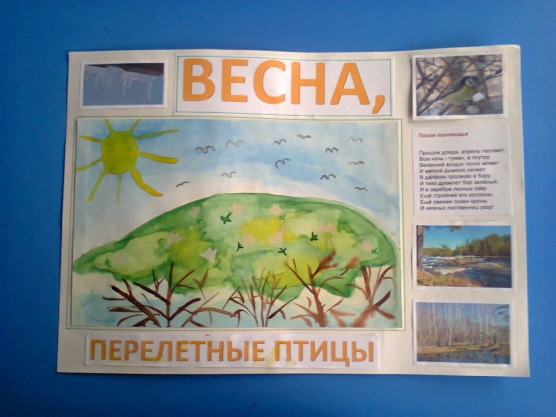 Проект «Перелетные птицы» Фото Проект «Перелетные птицы»