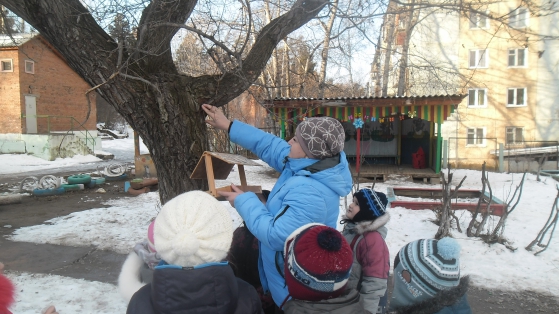 Фоторепортаж с городской природоохранной акции «Добрая зима» Фото Фоторепортаж с городской природоохранной акции «Добрая зима»