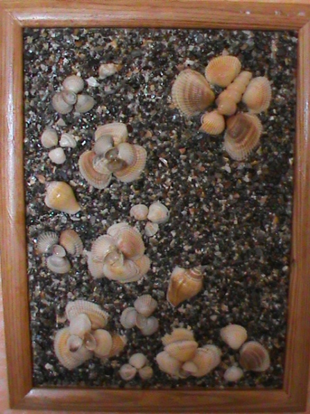 Поделки из морских ракушек. Фото Поделки из морских ракушек.
