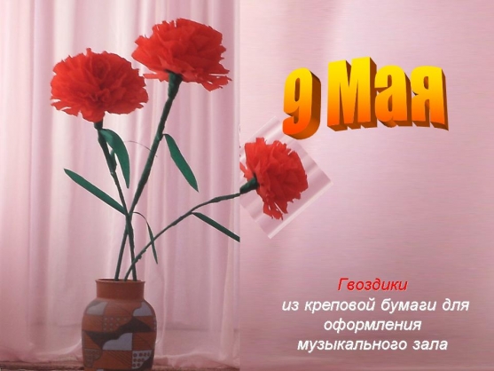 Гвоздики на 9 Мая для музыкального зала Фото Гвоздики на 9 Мая для музыкального зала