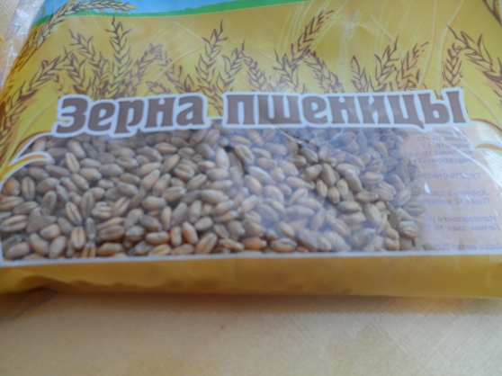 Весна на дворе — огород на окне. Фото Весна на дворе — огород на окне.