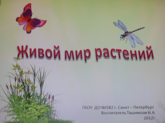 Конспект познавательно-экспериментального занятия «Живой мир растений». Фото Конспект познавательно-экспериментального занятия «Живой мир растений».