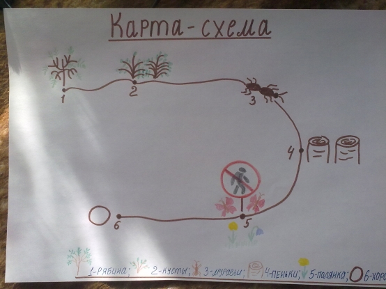 Конспект интегрированного занятия (НОД) на тему: «Экологическая тропинка» Фото Конспект интегрированного занятия (НОД) на тему: «Экологическая тропинка»