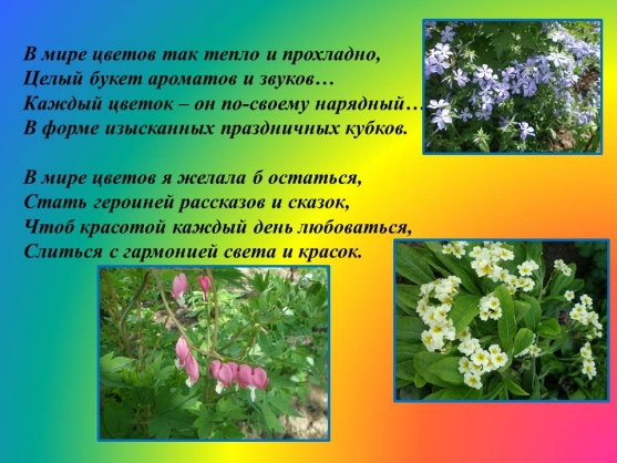 И в моём садочке расцвели цветочки! Фоторепортаж с садового участка. Фото И в моём садочке расцвели цветочки! Фоторепортаж с садового участка.