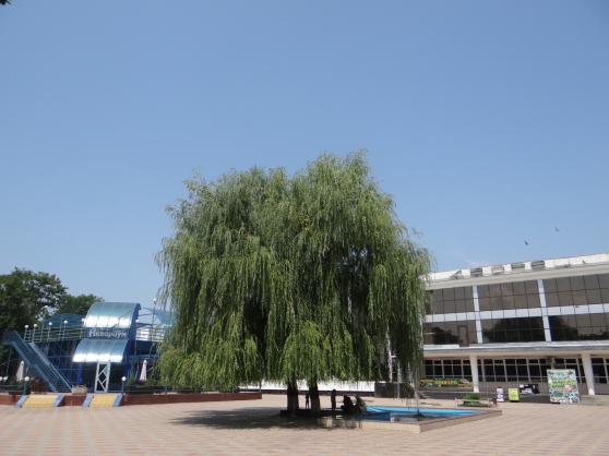 Прогулка по южному городу Приморско-Ахтарску Фото Прогулка по южному городу Приморско-Ахтарску