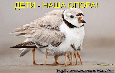 Дети! Фото Дети!