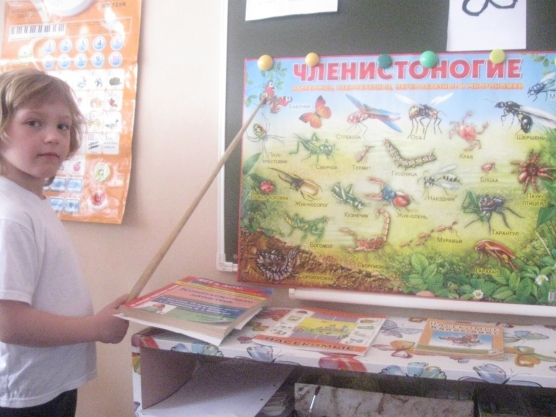 Насекомые и их знакомые… Фотоотчет о тематической неделе Фото Насекомые и их знакомые… Фотоотчет о тематической неделе