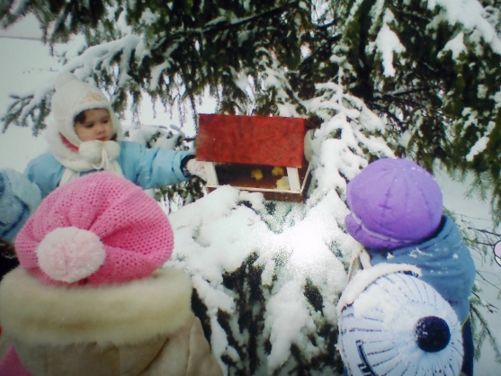 «Поможем зимующим птицам» Фото «Поможем зимующим птицам»