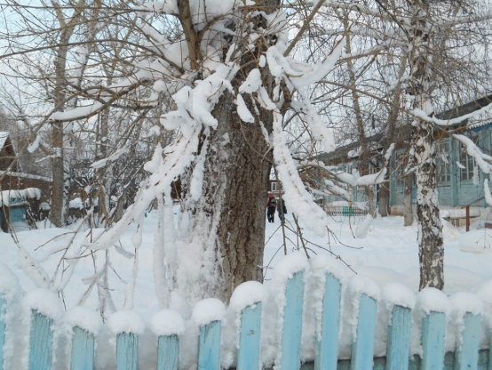«Зима-белый дизайнер природы.» Фотозарисовка Фото «Зима-белый дизайнер природы.» Фотозарисовка