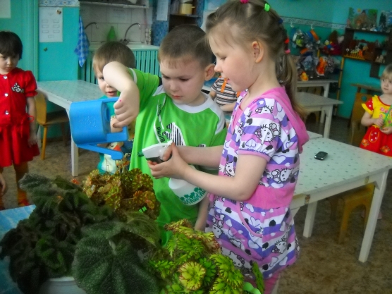 Ситуации в природе, связанные с переживанием ребенком чувства радости Фото Ситуации в природе, связанные с переживанием ребенком чувства радости