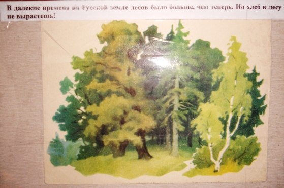 Авторская дидактическая игра «Откуда хлеб пришел?» Фото Авторская дидактическая игра «Откуда хлеб пришел?»
