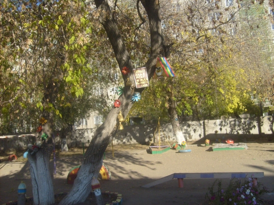 Природная тропа в детском саду Фото Природная тропа в детском саду