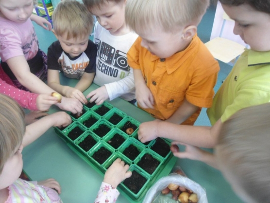 Наш лучший уголок природы Фото Наш лучший уголок природы