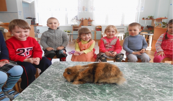 Аппликация домашние питомцы Аппликация домашние питомцы