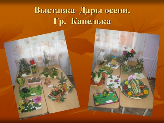 Выставка поделок Дары Осени Фото Выставка поделок Дары Осени