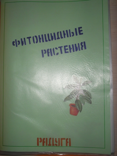Наши традиции Фото Наши традиции