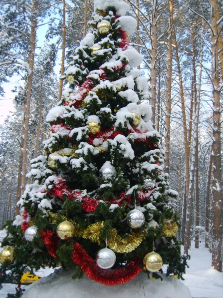 Каникулы, каникулы… Фото Каникулы, каникулы…