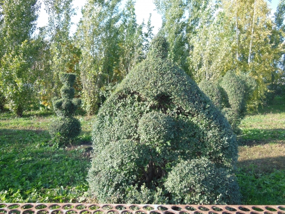 Фигурки парка Фото Фигурки парка