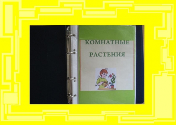 Альбом для юных цветоводов Фото Альбом для юных цветоводов